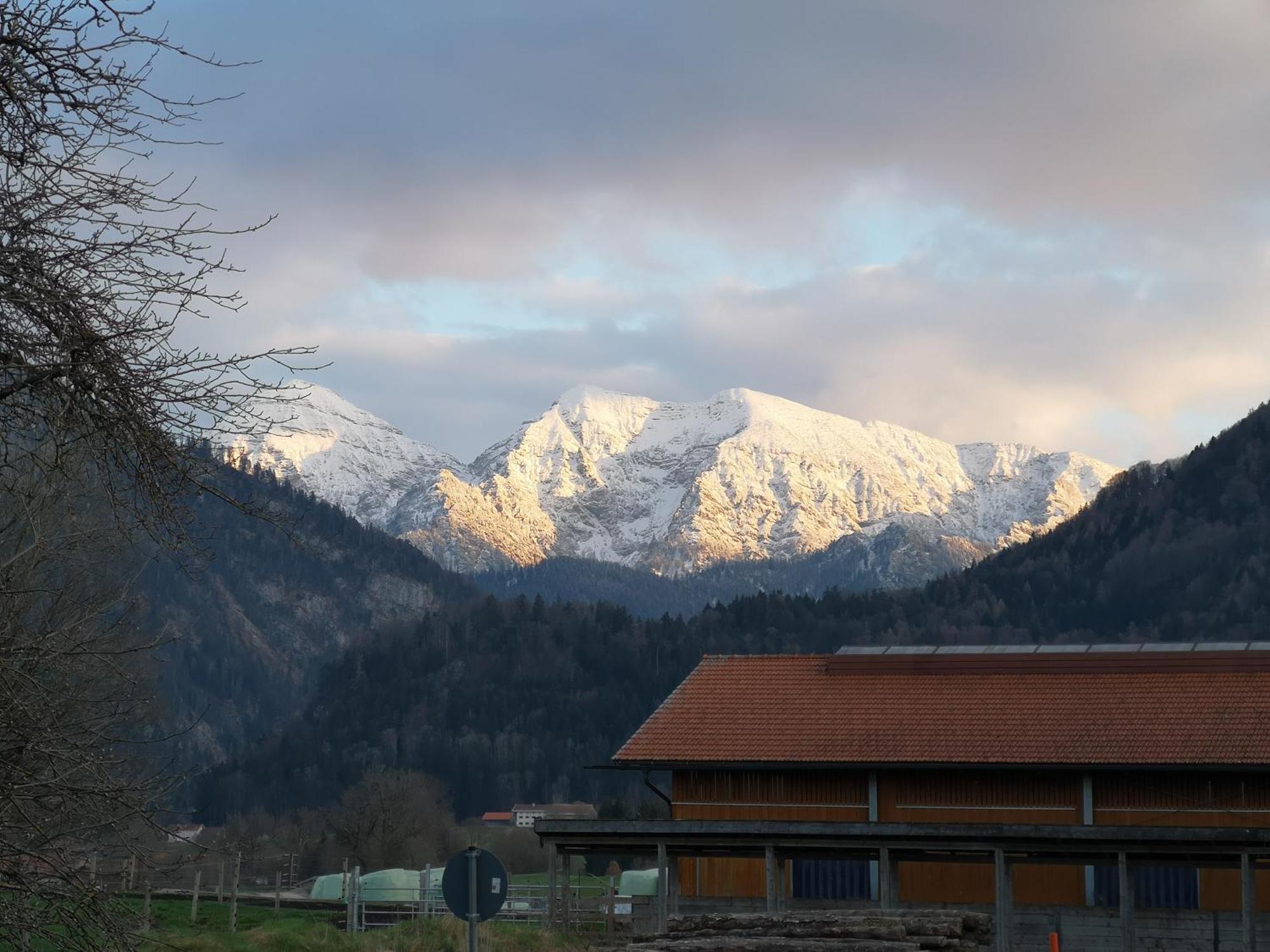 Ferienwohnung Am Wasen Inkl. Chiemgaukarte Ruhpolding Exterior photo